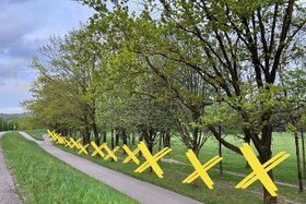 Image of the petition: Hände weg von der Donaulände! Keine Rodung für die Stadtbahn!