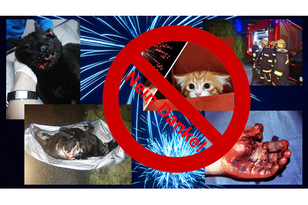 Petīcijas attēls:Handeln im Sinne von Tier, Mensch und Umwelt! Silvesterknallerei verbieten!