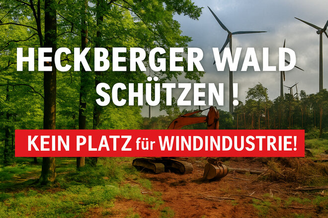 Bild der Petition Heckberger Wald schützen – Keine Windkraftindustrie im größten Waldgebiet des Bergischen Landes!