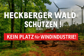 Bild der Petition: Heckberger Wald schützen – Keine Windkraftindustrie im größten Waldgebiet des Bergischen Landes!