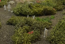 Bild der Petition: Heide statt Hitze: Pilotprojekt für den Haidplatz ermöglichen