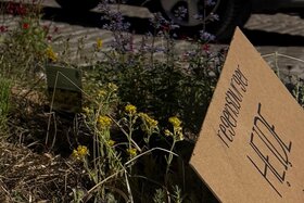 Bild der Petition: Heißplatz: Pilotprojekt für den Haidplatz ermöglichen