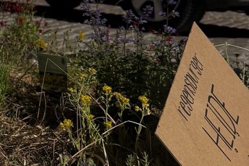 Image of the petition Heißplatz: Pilotprojekt für den Haidplatz ermöglichen