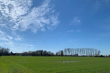 Image de la pétition Help, Red de Emblemse velden