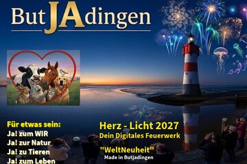 Image de la pétition "Herz Licht Butjadingen".! Ja! zum 3D-VR- Feuerwerk statt "Böller"