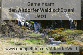 Bild der Petition: Hilf mit, den Altdorfer Wald zu schützen!
