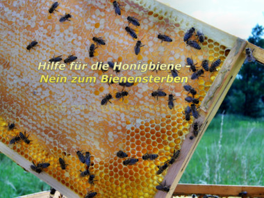 Kép a petícióról:Hilfe für die Honigbiene Nein zum Bienensterben