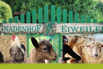 Bild der Petition Hilfe für Tiere in Not!