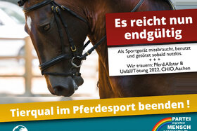 Obrázok petície: Hitzebelastung beim CHIO Aachen – Sofortige Prüfung gemäß § 3 Nr. 1 TierSchG gefordert!