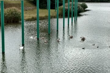 Bild der Petition Hochwasserschutz statt Gatsch und Schmutz, Wienerwaldsee-Rückhaltebecken zum Schutz der Bevölkerung