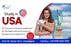Bild der Petition: How USA Study Visa Consultants in Chandigarh Help Students Achieve Their Dreams
