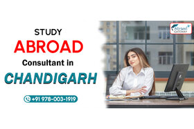 Bild på petitionen:How Visa Consultants in Chandigarh Ensure Smooth Processing