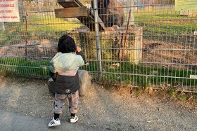 Bild der Petition: Keine Abschiebung schutzbedürftiger Familien und religiöser Minderheiten nach Pakistan