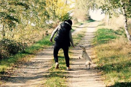 Bild der Petition: Hunde brauchen Freilauf – auch in der Stadt Bautzen
