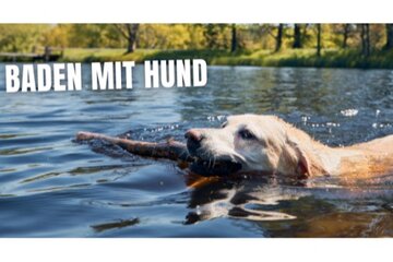 Imagem da petição Hunde im Hardtsee Ubstadt-Weiher erlauben