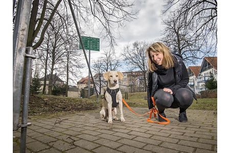 Bild der Petition: Hundefreilauf für die Stadt Bautzen