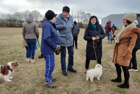 Peticijos nuotrauka:Hundefreilaufzone für Oberpullendorf
