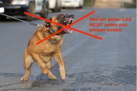 Bild der Petition: Hundeschule im Gemeindegebiet Niederaichbach muß bleiben