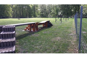 Bild der Petition Hundespielplatz im Riemer Park, München