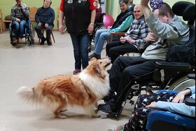 Bild der Petition: Hundesteuer Befreiung für Therapiehunde