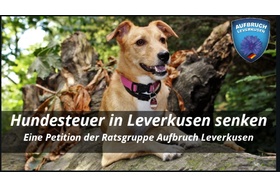 Bild der Petition: Hundesteuer in Leverkusen senken