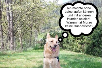 Bild der Petition hdjshdjshksh