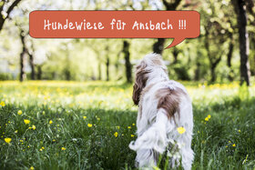 Dilekçenin resmi:Hundewiese in der Stadt Ansbach / eingezäunte Hundefreilauffläche