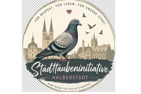 Bild der Petition: Hunger ist keine Lösung – Nein zum Bußgeld fürs Taubenfüttern in Halberstadt!