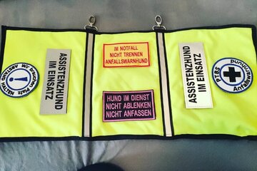 Bild der Petition Ich fordere,dass Assistenzhunde im Hilfsmittelkatalog der gesetzlichen Krankenkassen aufgenommen wer