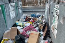 Imagen de la petición Illegale Müllablagerung an Glascontainern stoppen