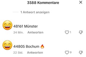 Bild der Petition: In TikTok Kommentare eine Suchfunkzion für Kommiss