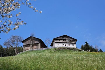 Bild der Petition Infrastruktur-Offensive für einen sauberen Paragleiter-Startplatz und den Erhalt des Erbhofes