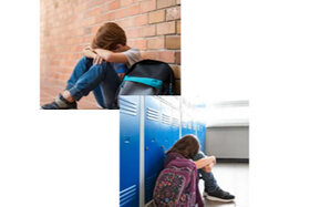 Obrázek petice: Investigation of the Komensky Schools in Vienna