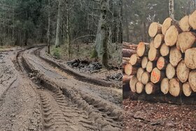 Peticijos nuotrauka:Išsaugokime Verkių regioninį parką