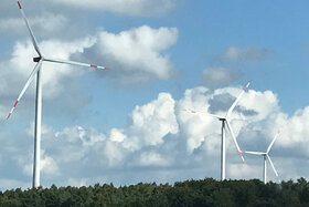 Bild der Petition: JA zu Windkraft im Perlacher und Grünwalder Forst