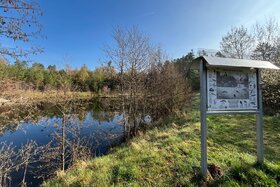 Bild der Petition: Ja zum RECYCLING in Althengstett. Nein zum STANDORT im BIOTOP WALD LANGENLÖCHLE (Schnaufer Teich)