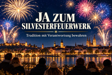 Bild der Petition Ja zum Silvesterfeuerwerk – Tradition mit Verantwortung bewahren – positiv und verbindend.