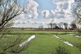 Bild der Petition: Ja zur Energiewende in Eiderstedt, aber im Einklang mit Natur, Mensch und Landschaft