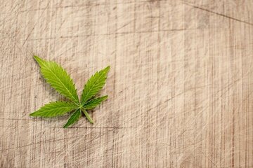 Bild der Petition Ja Zur Legalisierung Von Cannabis als Medizin, Genussmittel Und Rohstoff