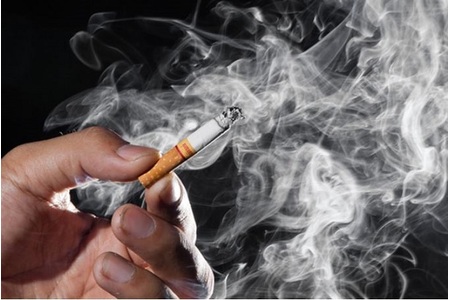 Bilde av begjæringen:Volksbefragung zum Thema Nichtraucherschutzgesetz