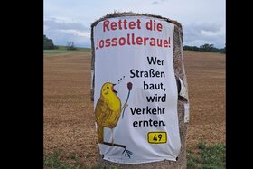 Bild der Petition: Jossollleraue FFH-Gebiet schützen ! Kein Neubau mit Ortsumgehung der B49 für Reiskirchen !