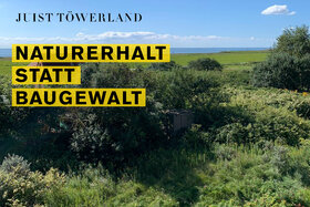 Slika peticije:Juist Töwerland: Naturerhalt statt Baugewalt