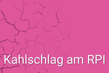 Bild der Petition Kahlschlag am Religionspädagogischen Institut Luzern (RPI)