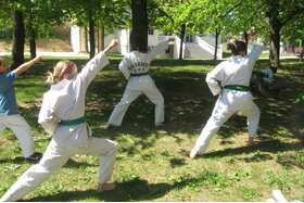 Bild der Petition: Kampfkunst Kinder- und Jugendtraining in Ernstbrunn fördern