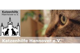 Petīcijas attēls:Kastrations- und Kennzeichnungspflicht für freilaufende Katzen in Hannover
