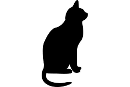 Photo de la pétition :Kastrations- und Registrierungspflicht für Katzen  in Dinklage