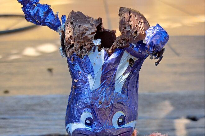 Katzenplage խնդրագրի պատկերը