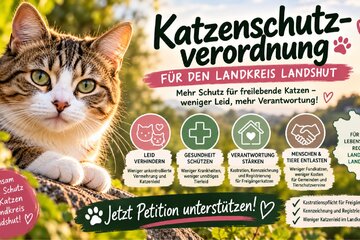 Bild der Petition Katzenschutzverordnung Landkreis Landshut