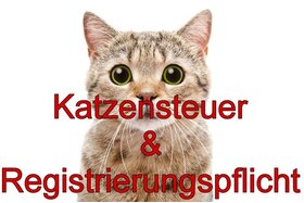 Bild der Petition: Katzensteuer anschaffen und Chippflicht (Registrieren)