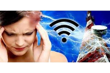 Bild der Petition Kein 5G Netzwerk für Dresden